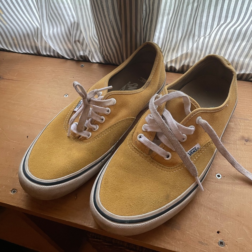 Vans authentic pro